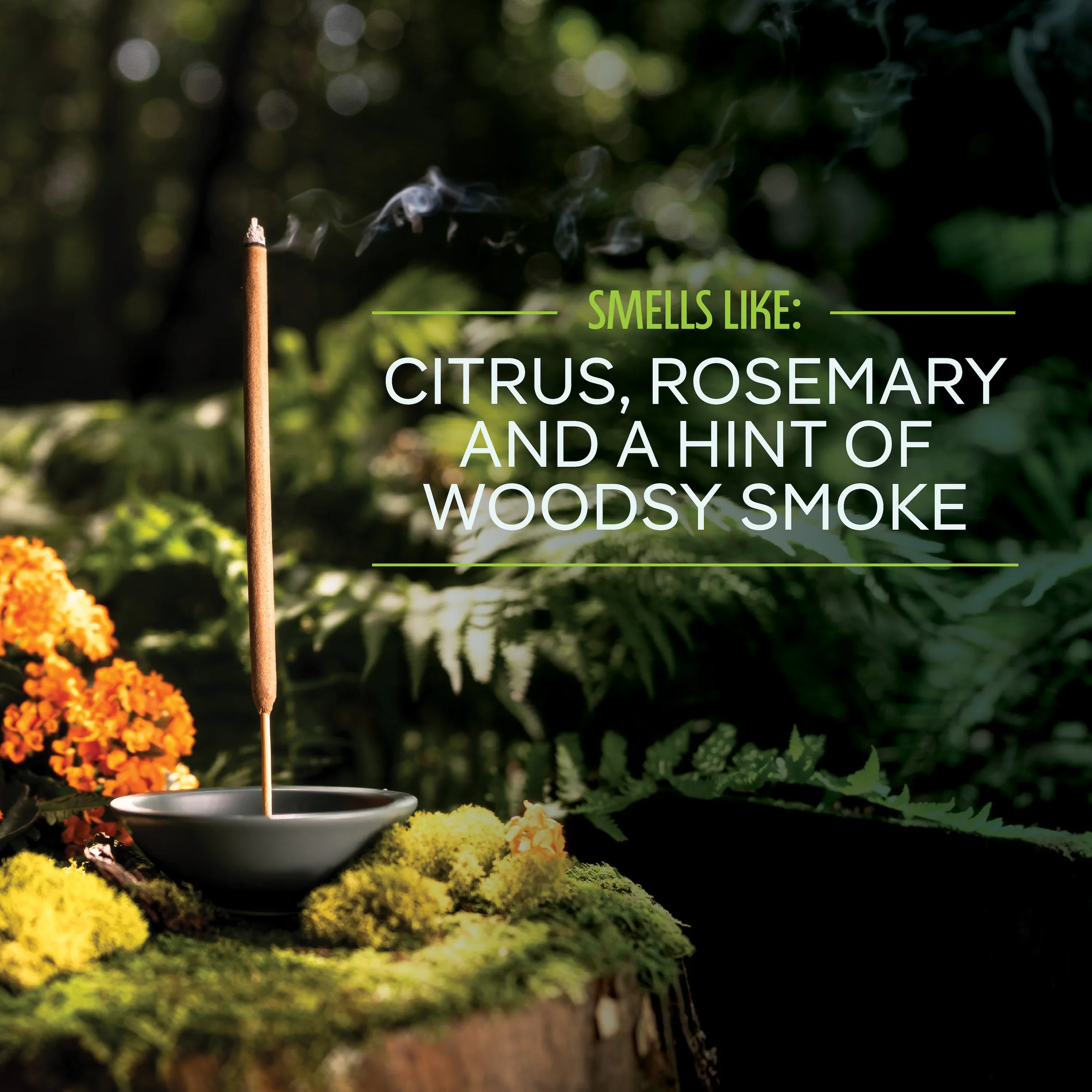 Murphy's Naturals Mosquito Repellent Incense Sticks - Image 5