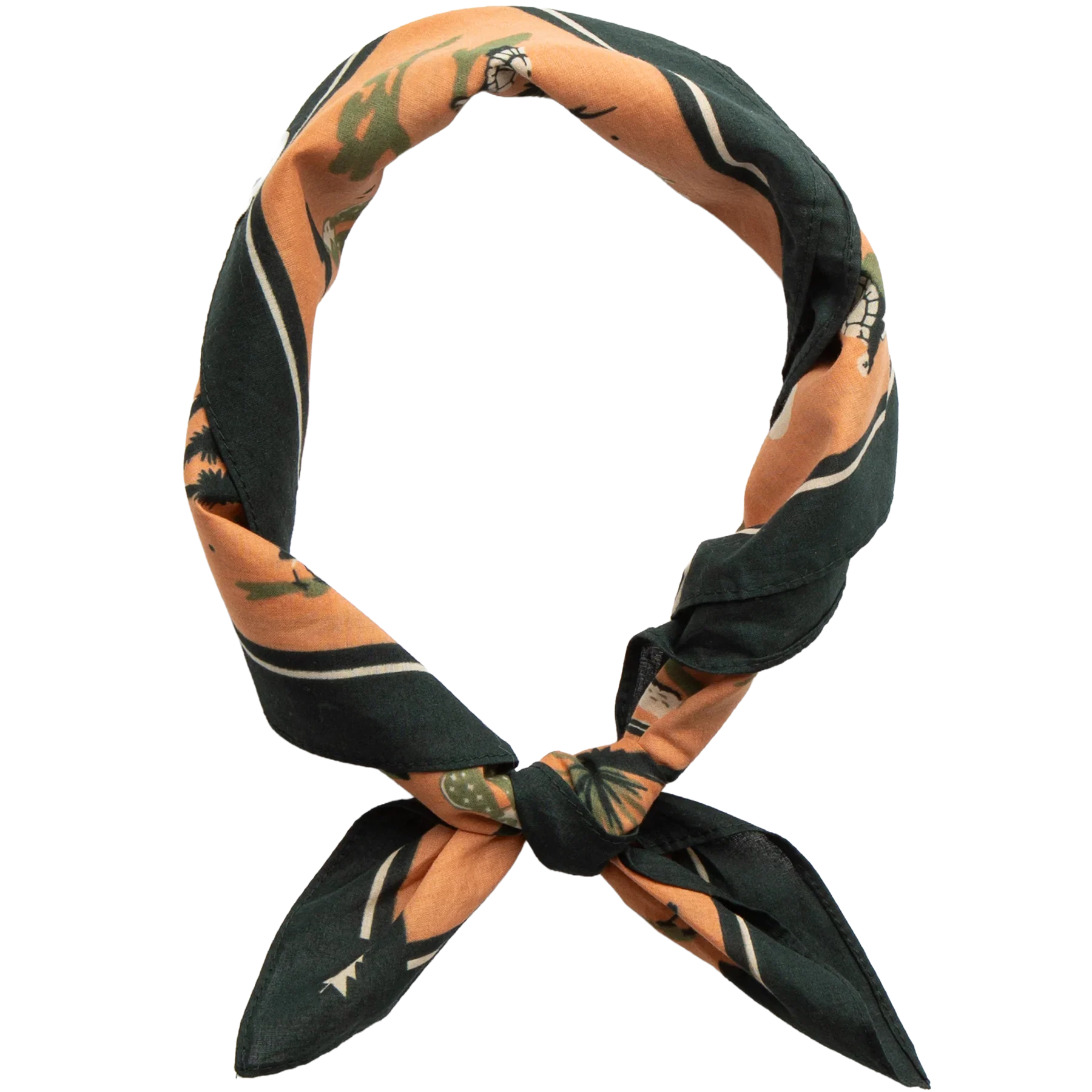 The Landmark Project Desert Dwellers Bandana - Image 3